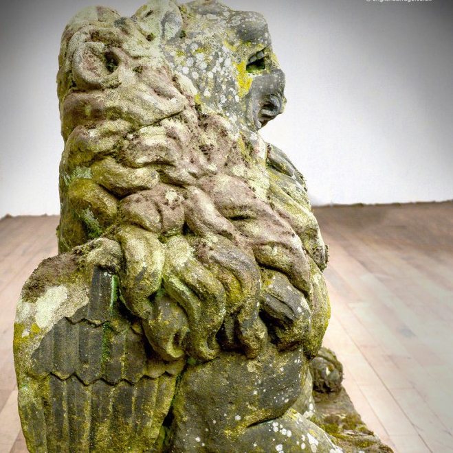 Early stone winged lion gargoyle with hole for water spout
