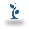 Charity